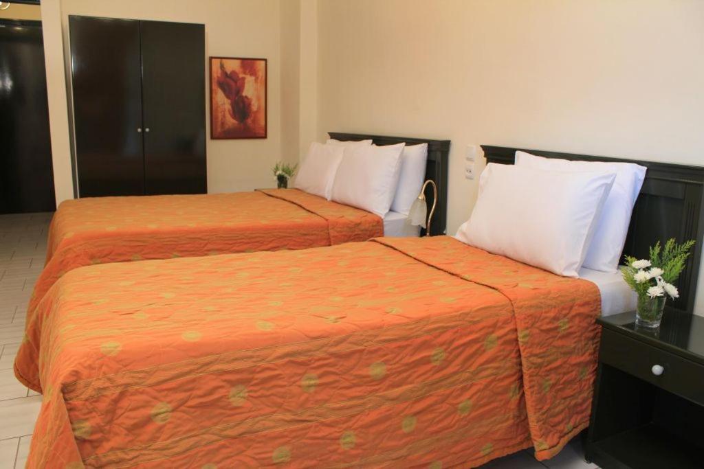 Famissi Eden Hotel Kalampáka Bilik gambar
