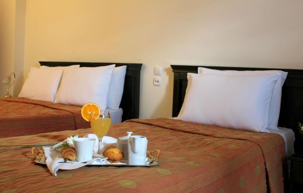 Famissi Eden Hotel Kalampáka Bilik gambar