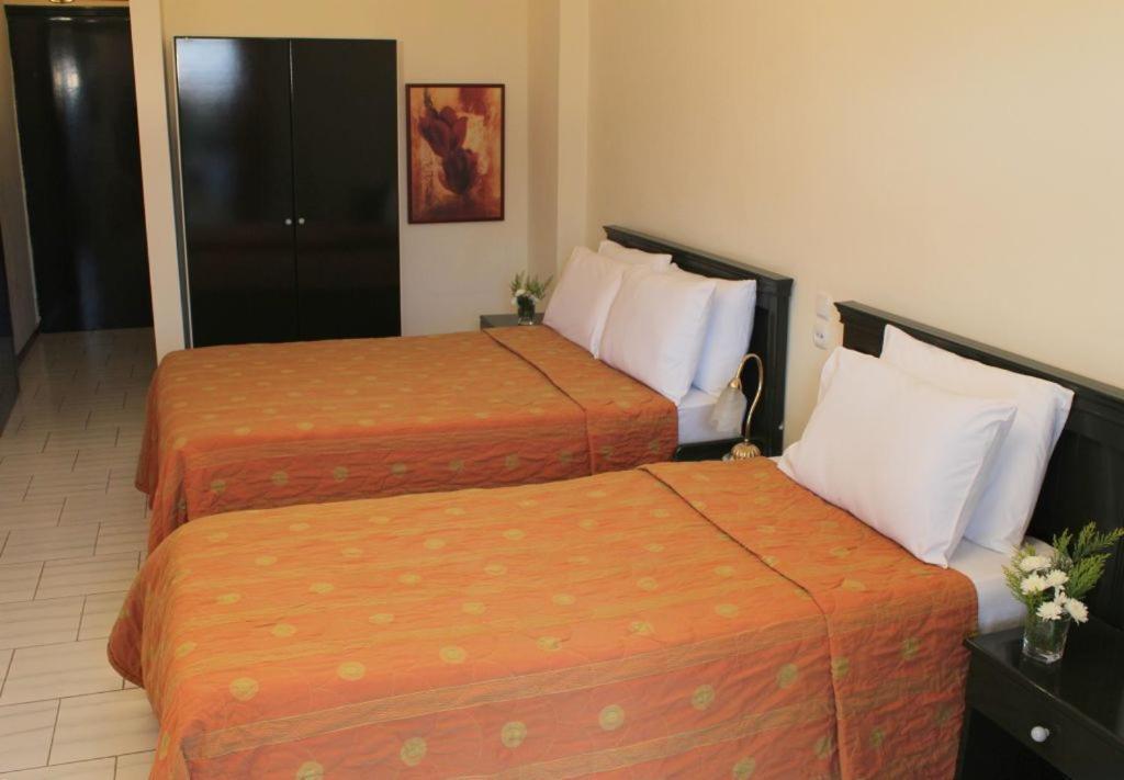Famissi Eden Hotel Kalampáka Bilik gambar